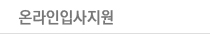 비전