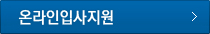 비전